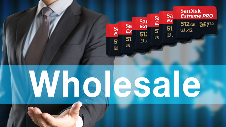 Wholesale-SanDisk-Memory-Cards-in-Canada-A-Complete-Buying-Guide Top Select