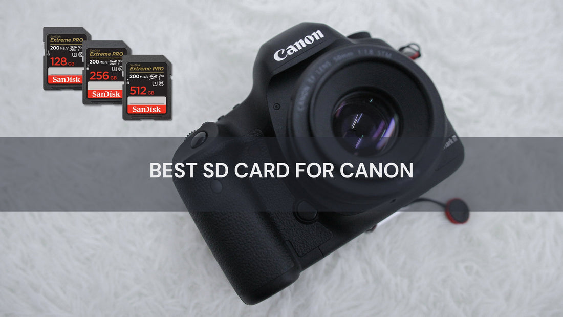 Best SanDisk Memory Cards for Your Camera or Device