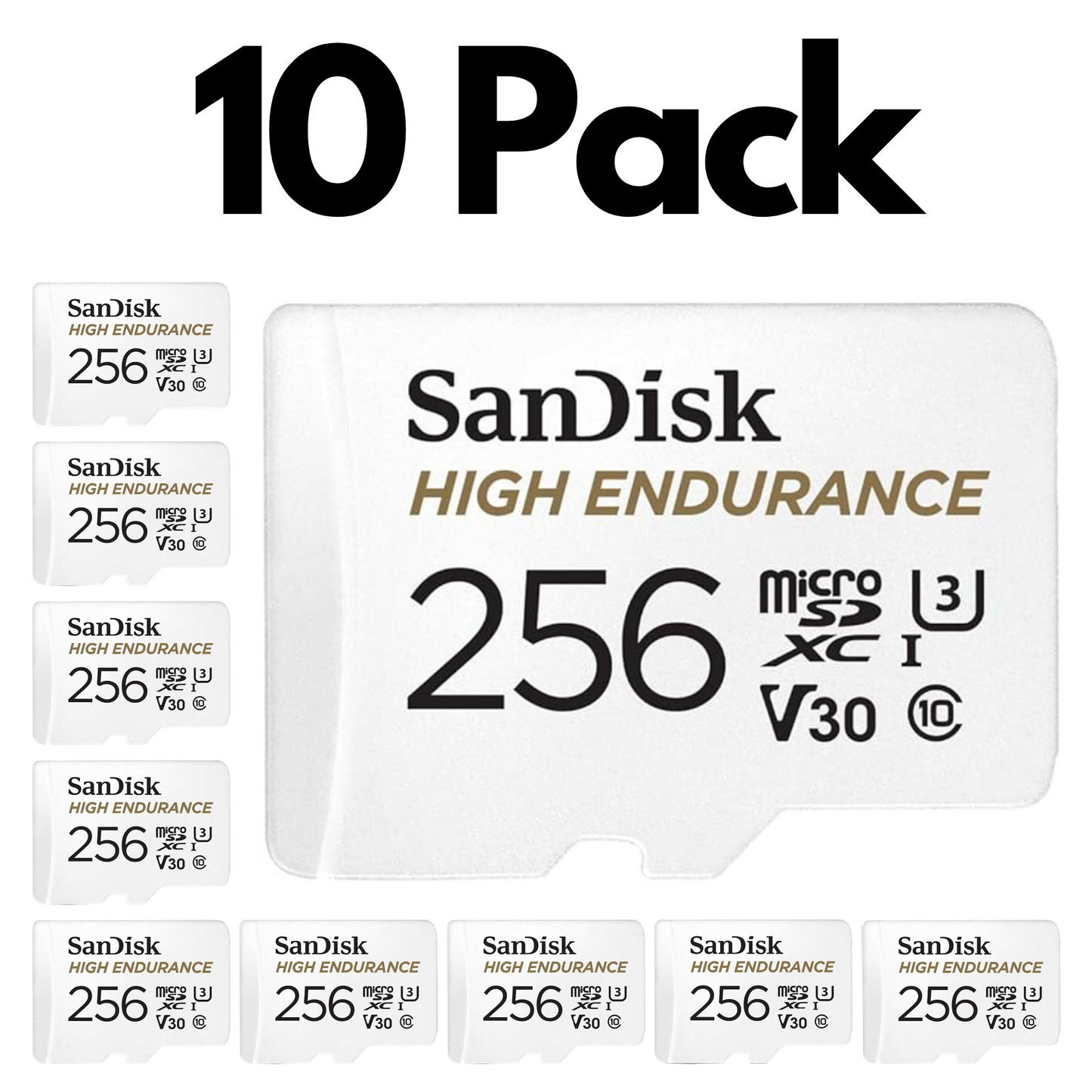10 Pack SanDisk High Endurance Video microSDXC, Bulk Micro SD Cards for Dash Cams and Home Security-256GB