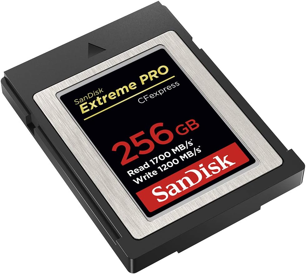 Extreme PRO 256GB CFexpress Type B card – angled view of the card